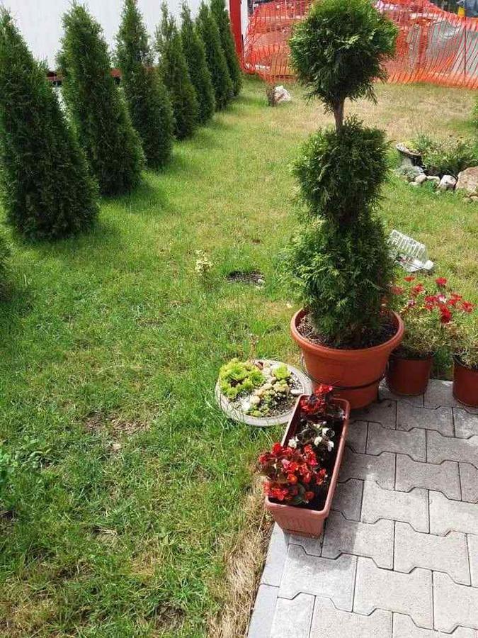 Lufi Penthouse Apartment Ζλάτιμπορ Εξωτερικό φωτογραφία